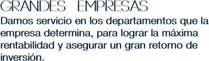 Grandes  Empresas